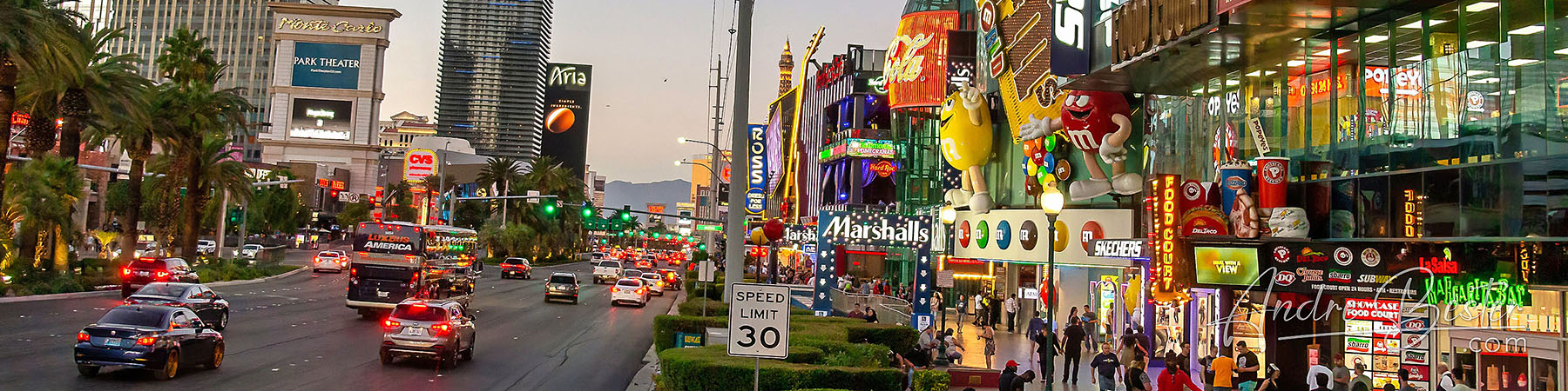 Las Vegas - Night Bus Tour