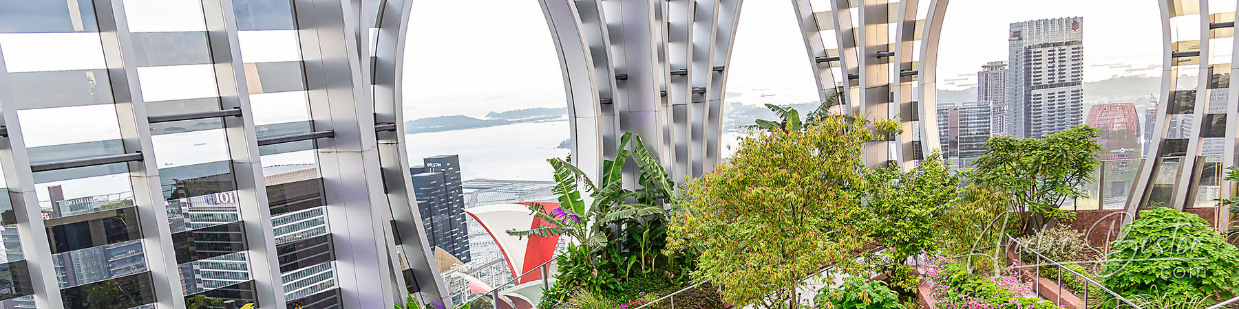 Sky Garden