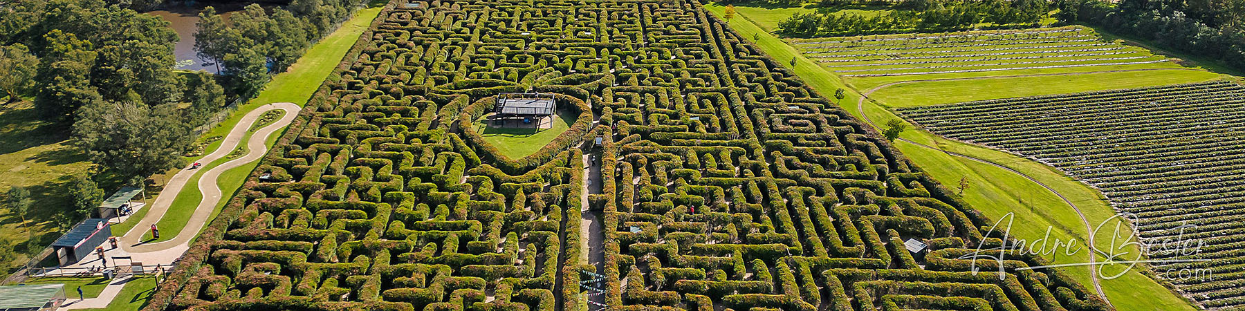 Redberry Farm - George