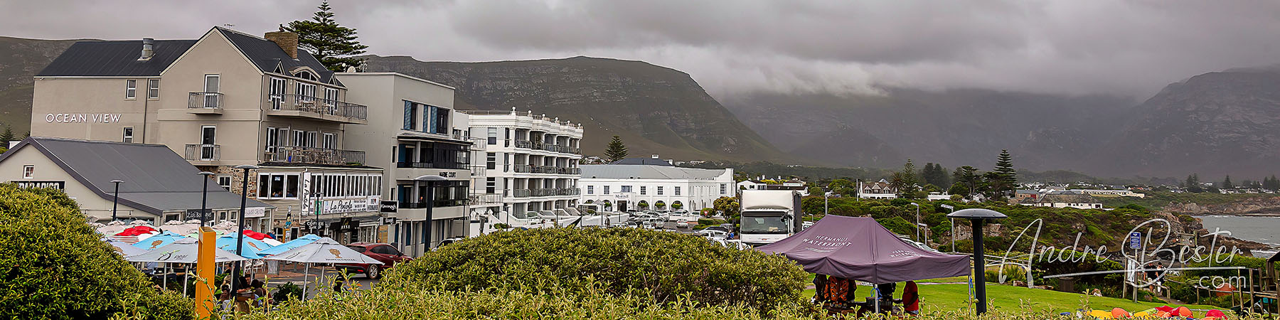 Hermanus