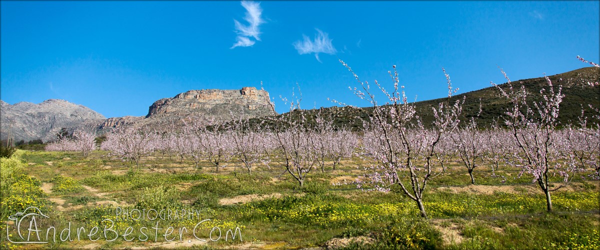 Citrusdal - Kunje Farm Citrusdal - Kunje Farm