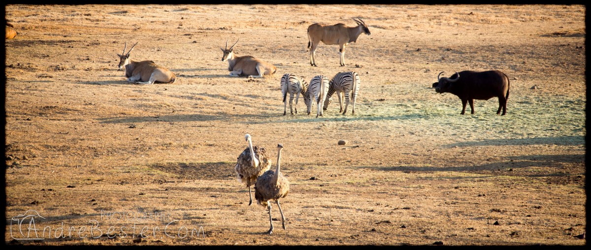 Mozambique 2015 - Day 10