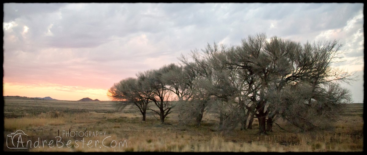 Mozambique 2015 - Day 11